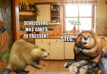 5B1639A6-8B57-4197-8BF3-6A79368AEE01.jpeg