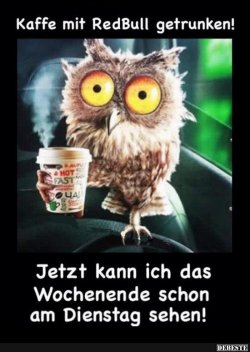 Bilderwitz0003.jpg