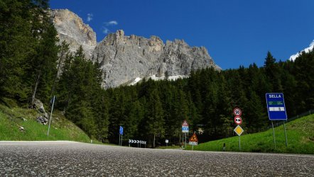 DSC07980.JPG