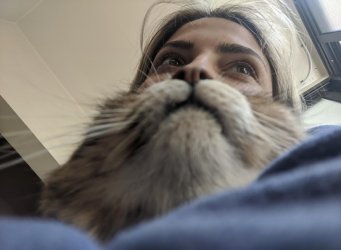 T.jpg