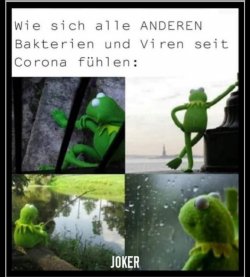 926B5498-0BF2-4B3A-AA20-8705DAA24298.jpeg