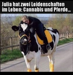 819D3B24-F242-4AA3-8B0C-D86F9B996253.jpeg