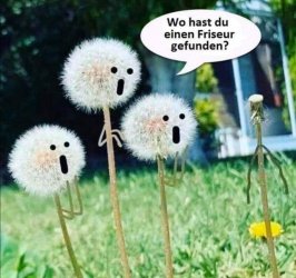 5AF7BA07-D556-4CE6-B250-57D24D8AA451.jpeg