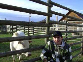 Stier 4_4.jpg