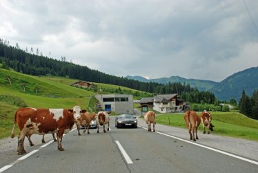 Berlin-Bayern-Tour 0708 207.jpg