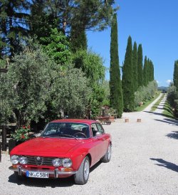 Mille Miglia 2014 426 (2).JPG