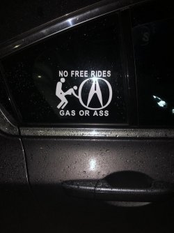 5bdocau497klhrb.jpg