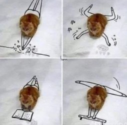 ttUnbenannt - Kopie.JPG