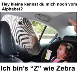 T..jpg