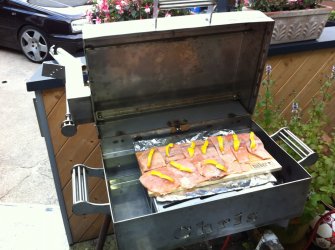 Lachs.JPG
