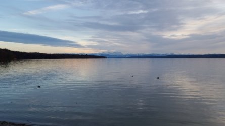 20200308_175119.jpg