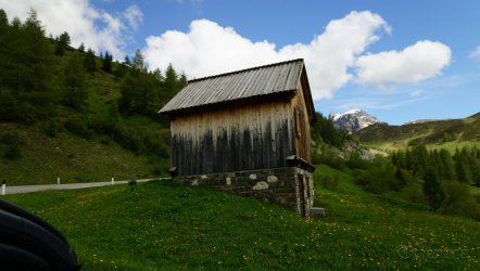 DSC08593.JPG