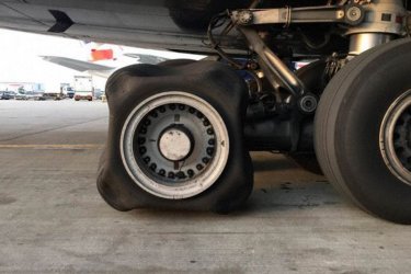 17FA3862-ECEE-4359-BFF8-3D33EA0609B6.jpeg 17FA3862-ECEE-4359-BFF8-3D33EA0609B6.jpeg