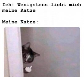 T.jpg