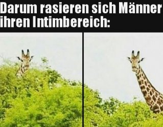 12Unbenannt - Kopie.JPG