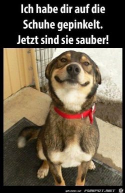 F6DA5D3A-5F71-4322-8F3E-7A574DBA565E.jpeg