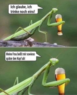 0CE079A4-AEE1-4DE8-BD4D-16EF2718A3A1.jpeg