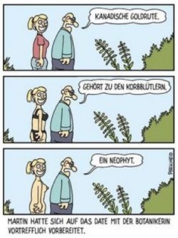 3Unbenannt - Kopie.JPG