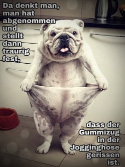 T..jpg