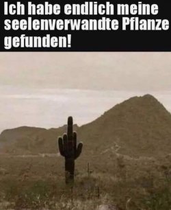 87A01D50-0DF6-4988-9892-84F2779C527E.jpeg