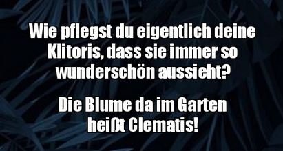 10Unbenannt - Kopie.JPG