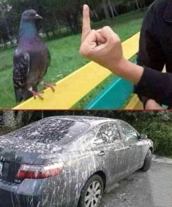 AD222919-292E-456B-A6A9-6FBAB5F3D451.jpeg