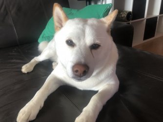 Esko 03.JPG