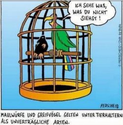 2Unbenannt - Kopie.JPG