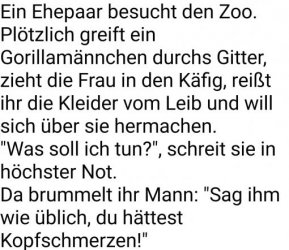 8Unbenannt - Kopie.JPG