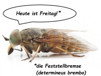 C0EFAAAE-3374-46E4-8B88-E1DFFFB5376A.jpeg