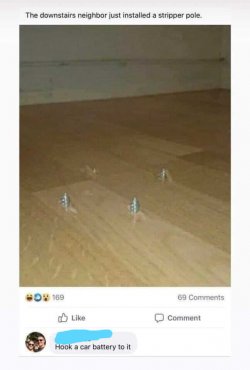 l06depl10igu4yy.jpg