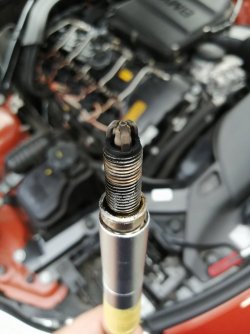 IMG_20200710_201928.jpg IMG_20200710_201928.jpg