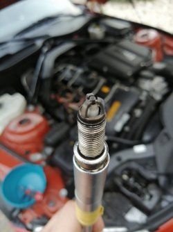 IMG_20200710_203511.jpg IMG_20200710_203511.jpg