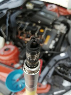 IMG_20200710_205658.jpg IMG_20200710_205658.jpg