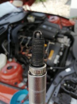 IMG_20200710_205727.jpg IMG_20200710_205727.jpg