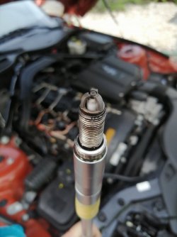 IMG_20200710_210420.jpg IMG_20200710_210420.jpg