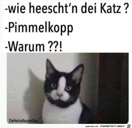 69812839-7B61-47B6-848A-07EBDF36E83F.jpeg