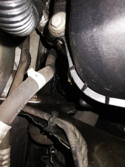 IMG_20200715_161705.jpg