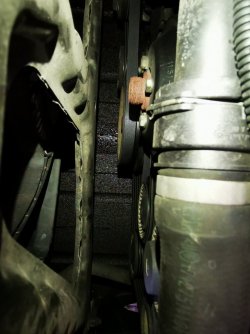 IMG_20200715_161725.jpg