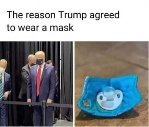 ppbnymn71h0n4xu.jpg