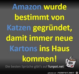 1D8C1E31-582D-4B67-B053-387AED9592D8.jpeg
