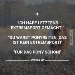 oz89h.jpg