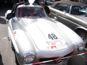 36_AvD_OGP 2008 006.jpg