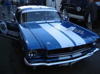 36_AvD_OGP 2008 003.jpg