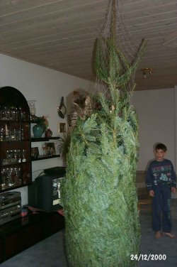 10Weihnachten 2000.jpg