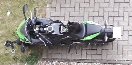 20200726_200159.jpg