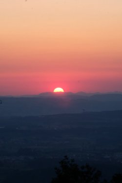 33E689D7-AB8C-45DC-B592-BF10E93D9DB2.jpeg