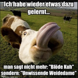 1597396493227.png