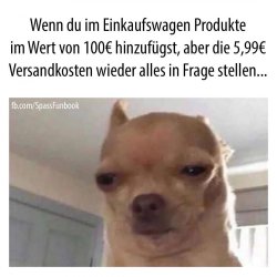 FDA784A1-97F4-4459-8F49-35B3F8110449.jpeg