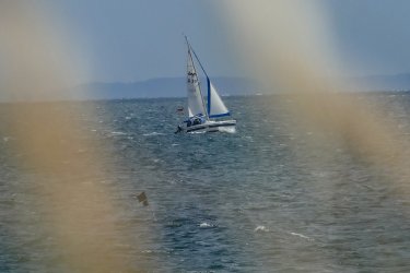 Bild-8.jpg